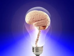 5 Bahan Alami yang Bermanfaat untuk Meningkatkan Memori Otak