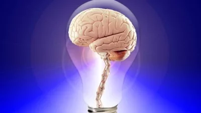 5 Bahan Alami yang Bermanfaat untuk Meningkatkan Memori Otak
