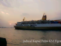 Jadwal Kapal Pelni KM Egon November 2022 Rute ParePare, Batulicin, Surabaya