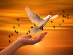 Ini 3 Tanda Jika Kamu Sudah Memiliki Kecerdasan Secara Spiritual: Mampu Berdamai dengan Diri Sendiri dan Masalah