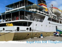 Jadwal Kapal Pelni KM Tilongkabila 6 Desember 2022 Rute Perjalanan Luwuk-Gorontalo Lengkap Beserta Harga Tiket