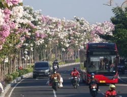 DLH Surabaya Memantau Kualitas Udara Di 3 Stasiun: Wonorejo, Kebonsari Dan Tandes
