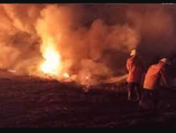 Kebakaran Lahan di Surabaya Menurun, Menurut Wawali karena Kesadaran Masyarakat