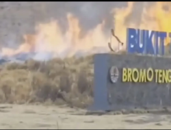 Bukit Teletubies di Gunung Bromo Terbakar, Diduga Akibat Flare dari Prewedding Pengunjung