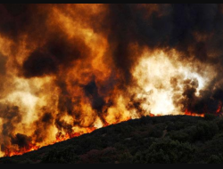 Kebakaran Melanda Gunung Lawu, Merenggut Hutan dan Tiga Warung