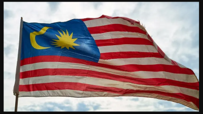 Malaysia Akan Menghentikan Subsidi Ayam Mulai 1 November 2023, Ini Penjelasannya