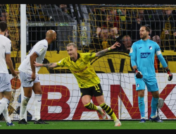 Borussia Dortmund Vs Hoffenheim: Marco Reus Menangkan Die Borussen 1-0